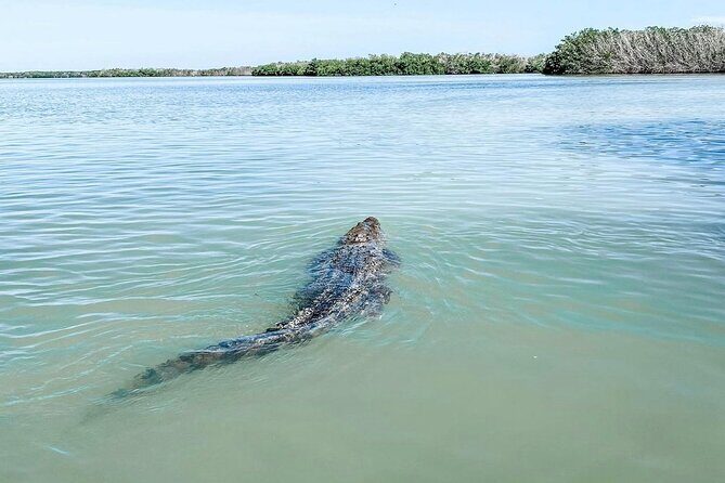 Mérida: Las Coloradas and Río Lagartos with Boat Tour and Lunch - Pickup, timing, and why the 11–12 hours matter
