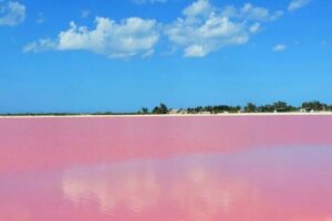 Mérida: Las Coloradas and Río Lagartos with Boat Tour and Lunch - Las Coloradas: how the pink works and what to expect in the hour you have