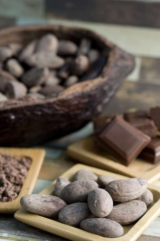 Mérida: Uxmal, Cenote and Chocolate Museum Choco-Story - Uxmal’s Puuc Ruins: Why This Start Feels Special