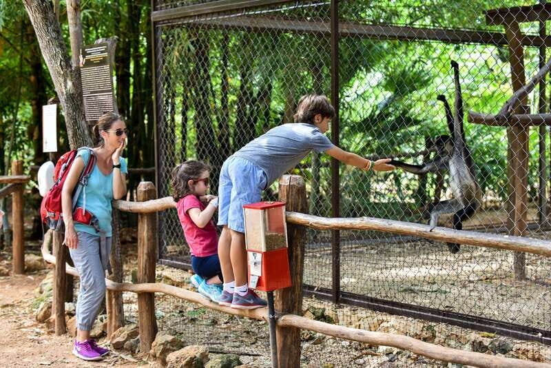 Mérida: Uxmal, Cenote and Chocolate Museum Choco-Story - FAQ
