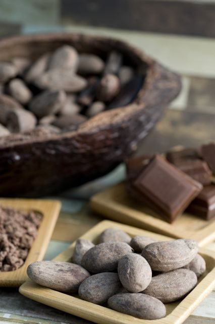 Mérida: Uxmal, Cenote and Chocolate Museum Choco-Story - Price and Value for $85: What’s Included vs. What You Pay On Your Own