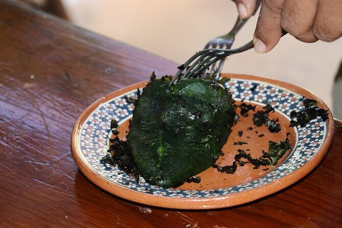 Mexican Cooking Class in Zihuatanejo de Azueta - Key Points You’ll Feel Immediately