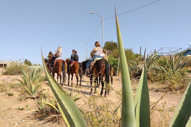 Mexican Equestrian Experience - Key highlights at a glance
