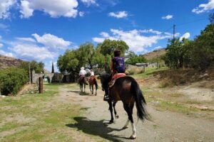 Mexican Equestrian Experience - What “Private” Really Changes (and Who Benefits)