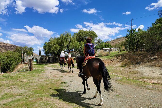 Mexican Equestrian Experience - What “Private” Really Changes (and Who Benefits)
