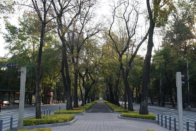 Mexico City: 19 City Highlights Bicycle Tour - Palacio de Bellas Artes and the Zócalo Area: Art + Atmosphere