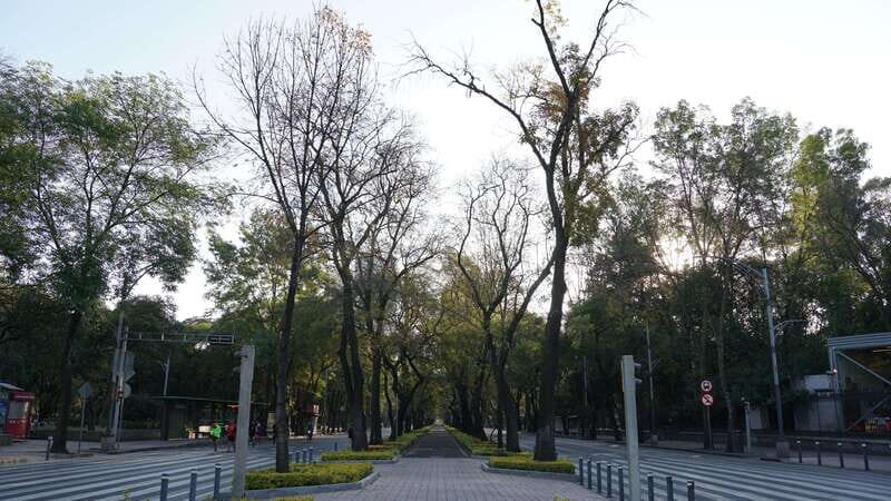 Mexico City: 19 City Highlights Bicycle Tour - Hemiciclo a Juárez, Torre Latinoamericana, and the Palace of Fine Arts