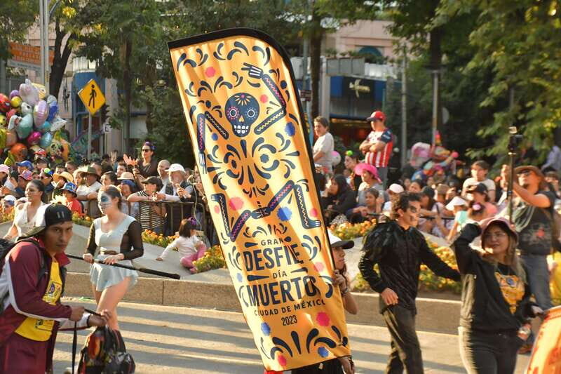 Mexico City: Day of the Dead Guided Tour - Floating Gardens at night: what you can actually see