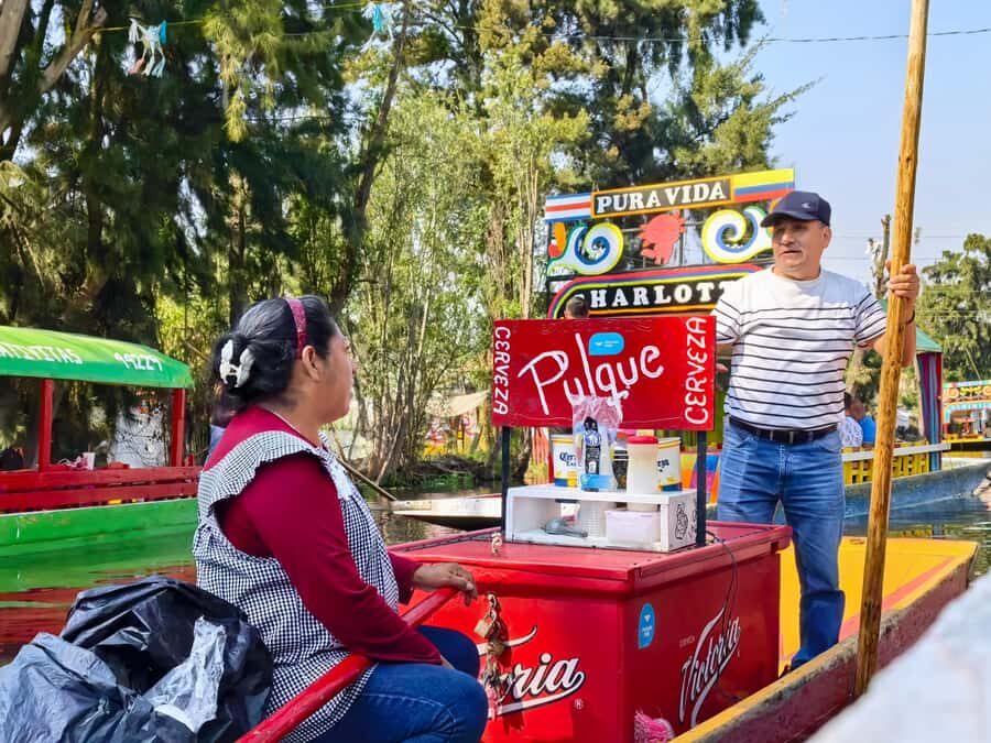 Mexico City: Expert-Guided Boat Tour with Lunch and Drinks - Meeting under the purple arch at Canal 237