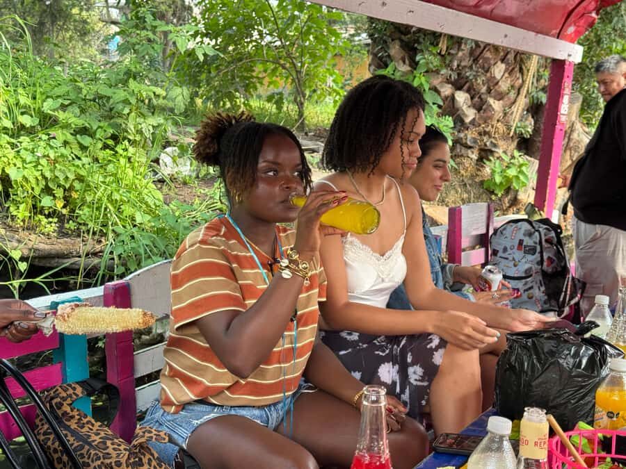 Mexico City: Expert-Guided Boat Tour with Lunch and Drinks - Chinampa island lunch: 4 tacos, pulque, and a short window on land