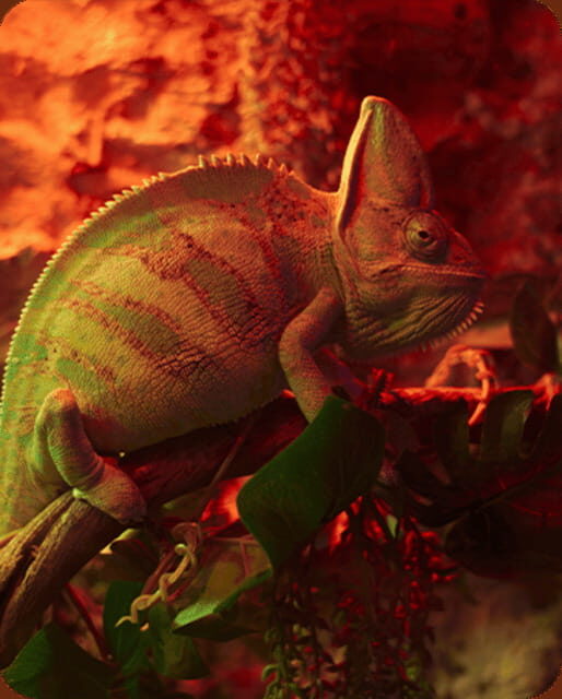 Mexico City: Fast Pass Ticket to Acuarium Inbursa - Key Things to Know Before You Go