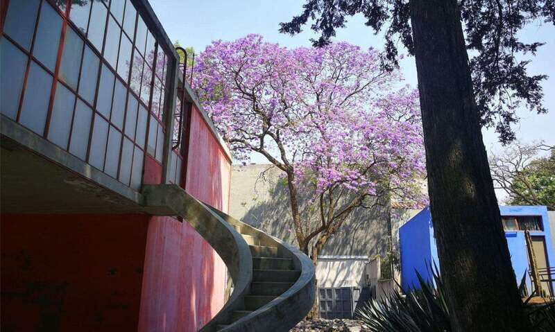 Mexico City: Frida Kahlo-Diego Rivera Studio House Tour - Why This Studio House Tour Works Better Than a Solo Visit