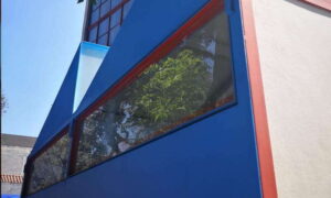 Mexico City: Frida Kahlo-Diego Rivera Studio House Tour - Meet Abe: The Guide Makes the Difference