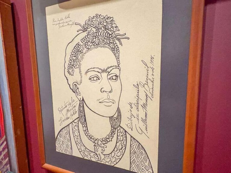 Mexico City: Frida Kahlo Museum or Casa Kahlo Entry - Skip-the-Line Tickets: Why It’s Worth Paying for Time