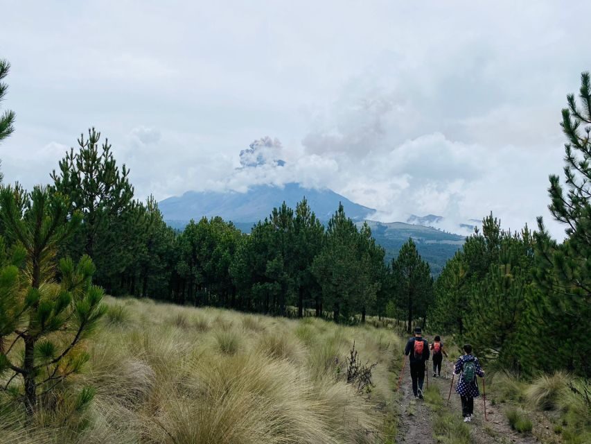 Mexico City: Guided Volcano Trek with Lunch - How hard is it, really? altitude is the main boss