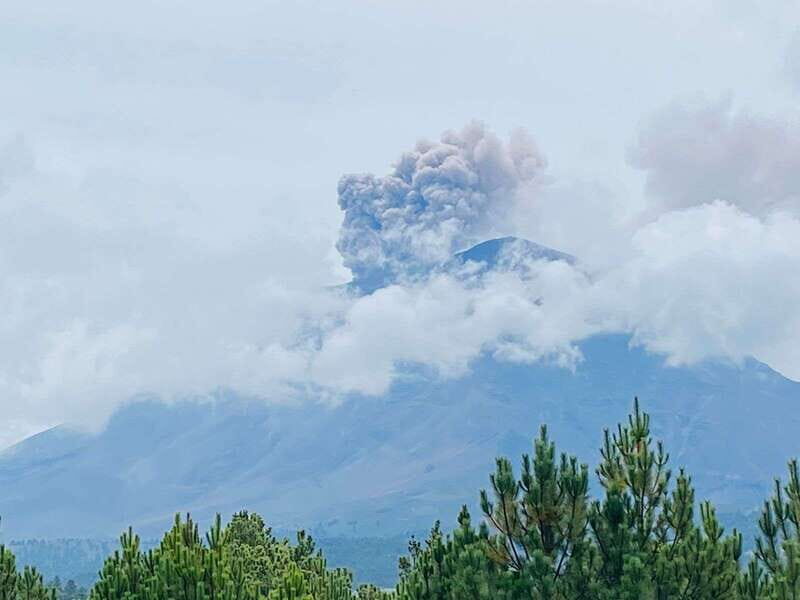 Mexico City: Guided Volcano Trek with Lunch - Lunch at the market: why this is more than a meal break