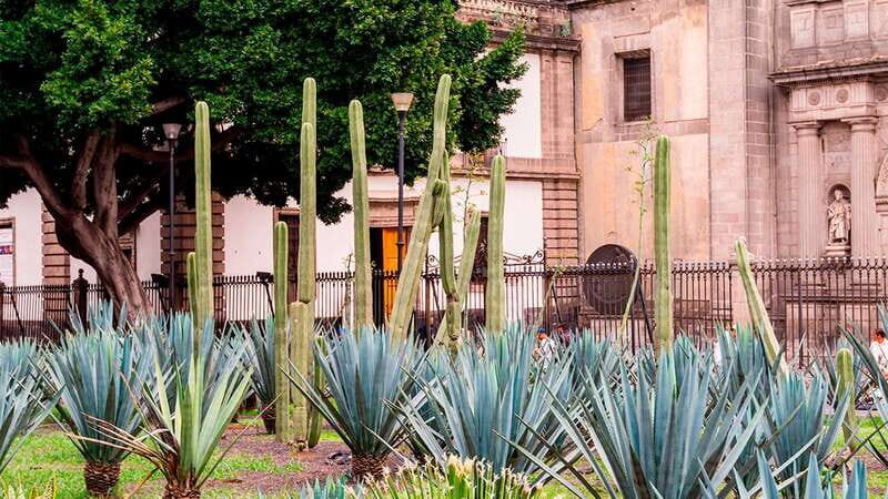 Mexico City: Historic Downtown Walking Tour - Aztec ruins: seeing the city’s older layer in context