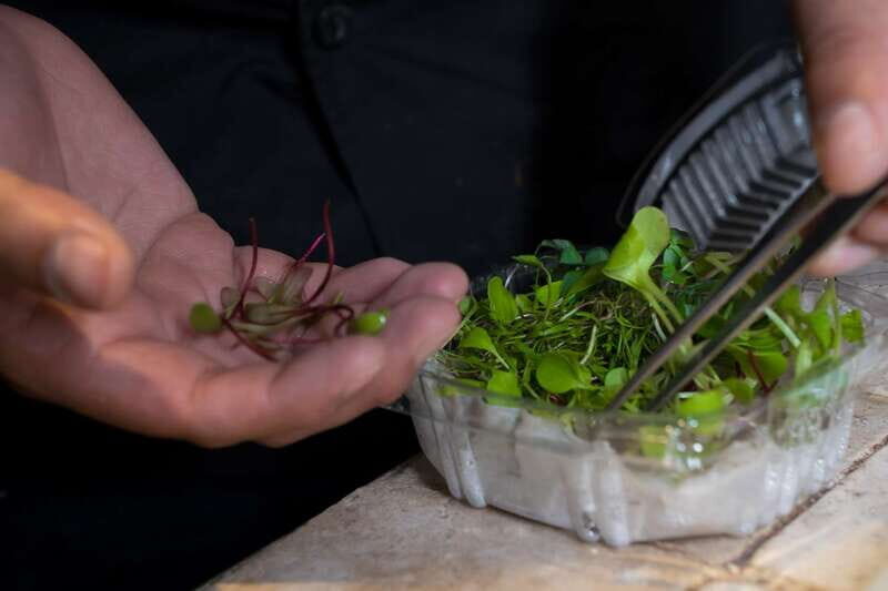 Mexico City: Mexican Cooking Class - Should you book this Mexican Cooking Class?