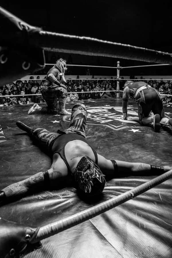 Mexico City: Mexican Evening, Lucha Libre and Tequila - Key highlights worth your time