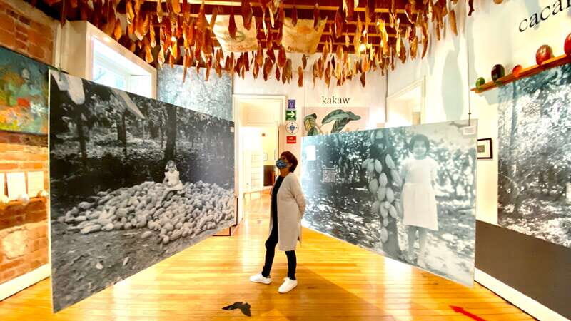 Mexico City: MUCHO Museum of Chocolate Entrance Ticket - Key reasons MUCHO is worth your ticket