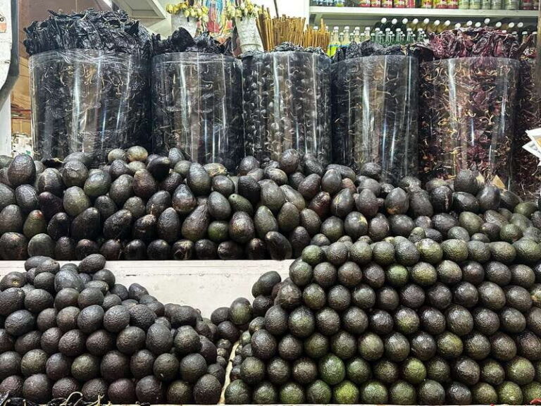 Mexico City: Old Town Food Tour of 7 Tastings & Secret Dish - Meeting Point and the 3-Hour Rhythm on Foot