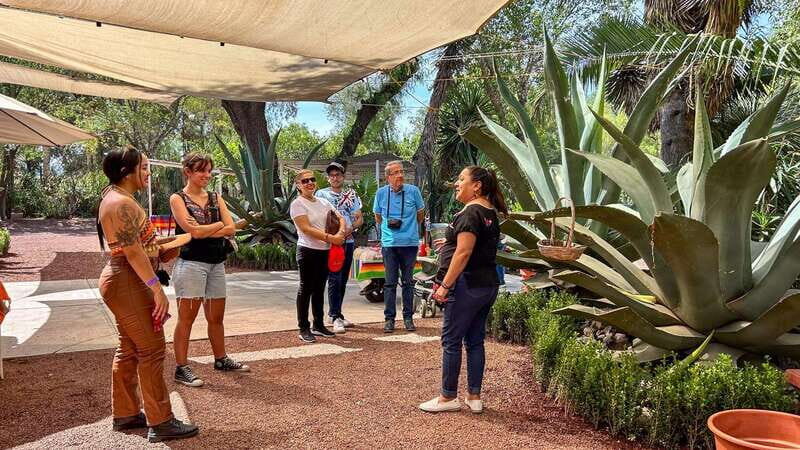 Mexico City: Teotihuacan, Tlatelolco & Basilica of Guadalupe - Key highlights worth circling