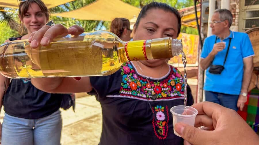 Mexico City: Teotihuacan, Tlatelolco & Guadalupe Shrine Tour - Lunch at Tlacaelel and the fiesta-style add-on