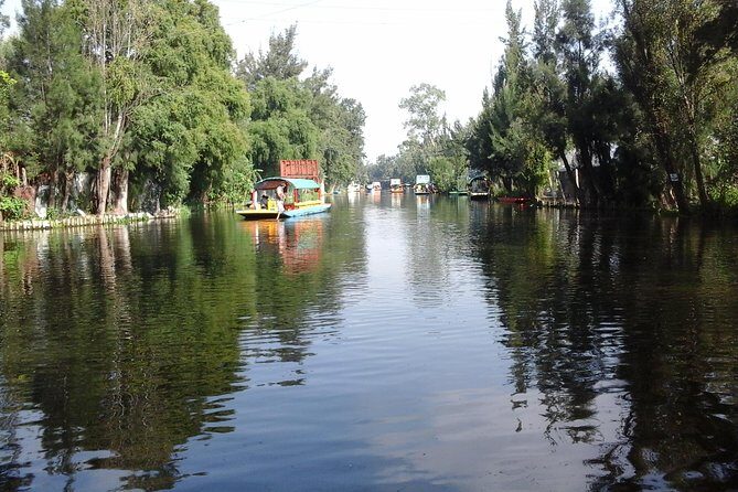 Mexico City Tour And Xochimilco - Downtown panoramas that actually help you read Mexico City