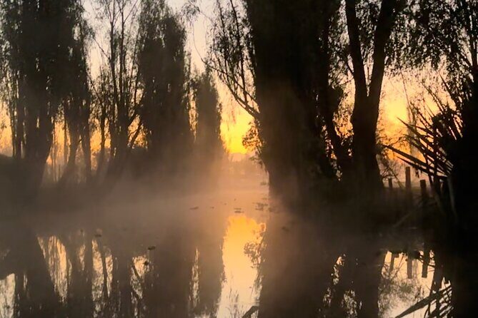 Mexico City: Xochimilco at sunrise + Breakfast and transportation - Breakfast on the farm: why it tastes different