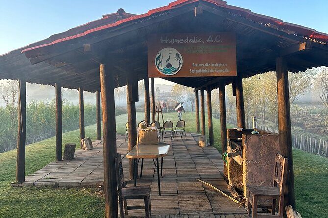 Mexico City: Xochimilco at sunrise + Breakfast and transportation - The return sail after breakfast: seeing Xochimilco in a new light