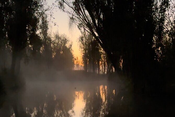 Mexico City: Xochimilco at sunrise + Breakfast and transportation - Price and value: what you’re paying for at $173.25