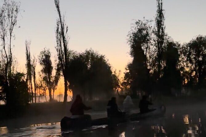 Mexico City: Xochimilco at sunrise + Breakfast and transportation - Timing, cold mornings, and what to bring