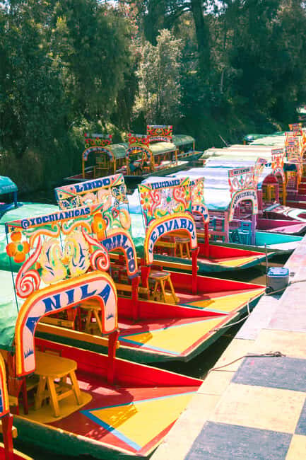 Mexico City: Xochimilco Boat with Guacamole & Premium Drinks - The Hands-On Guacamole Class: Fresh Ingredients, Real Flavor, Easy Fun
