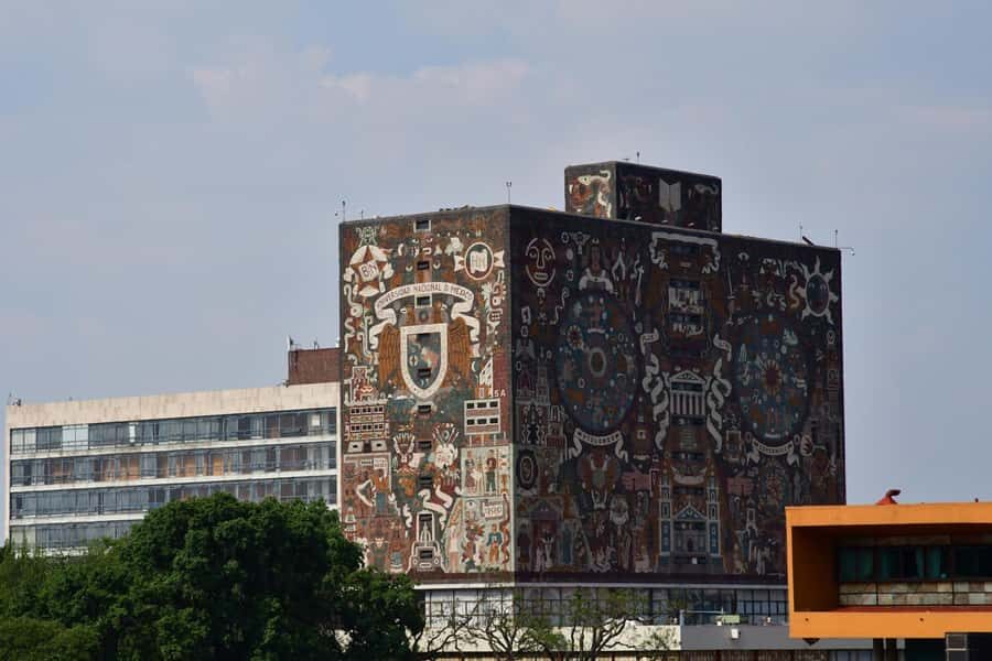 Mexico City: Xochimilco, Coyoacan & Frida Kahlo with Lunch - Key highlights worth your attention