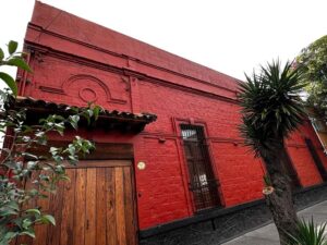 Mexico City: Xochimilco, Coyoacan & Frida Kahlo with Lunch - Coyoacán walking tour: the art-and-intellectual vibe in real streets