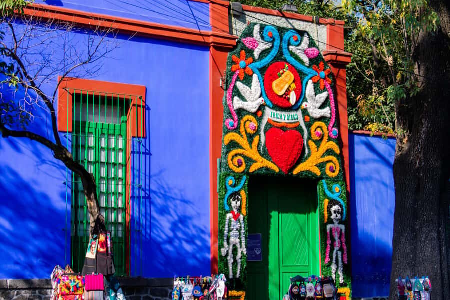 Mexico City: Xochimilco, Coyoacan & Frida Kahlo with Lunch - UNAM’s Ciudad Universitaria murals: UNESCO art you can actually stand in
