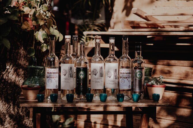 Mezcal & Mole by a Certified Sommelier - Oaxaca’s Mole and Mezcal: Why This Pairing Actually Works