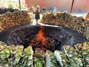 Mezcal Tour Oaxaca - Price and time: what $102 really buys in 5 hours