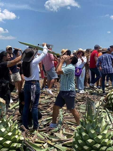 Mezcal Tour Oaxaca - Agave plantation tour: learn the plant before you taste it