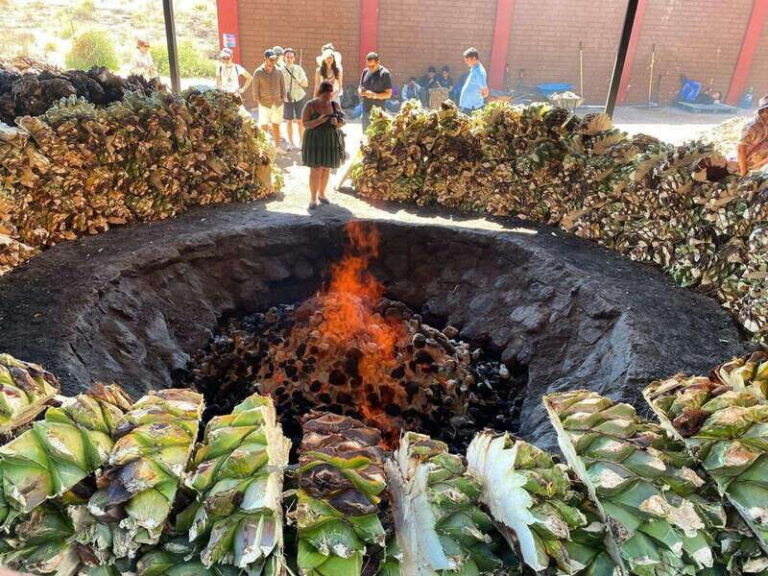 Mezcal Tour Oaxaca - Price and time: what $102 really buys in 5 hours