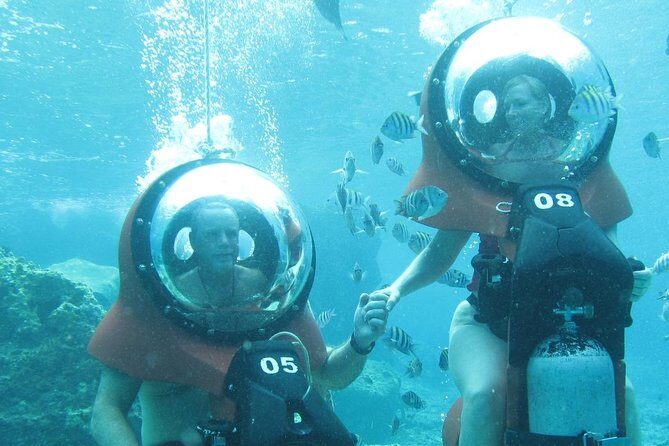 Mini-SUB Dive Tour from Cozumel - Marine life you can expect to spot (and what you might touch)