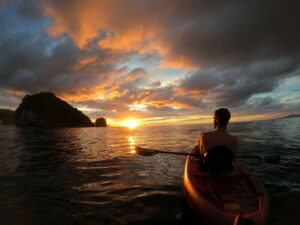Mismaloya: Los Arcos Bioluminescent Waters Kayak & Cave Tour - The main event: bioluminescent algae on a night paddle