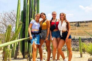 Mitla Half Day Guided Tour - Teotitlán del Valle: a wool-and-dye workshop that feels alive