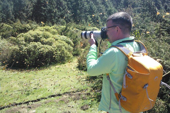 Monarch Butterfly Private Tour (Morelia) - Food planning: what’s included, what you’ll handle yourself