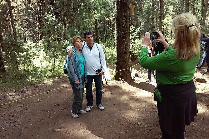 Monarch Butterfly Private Tour (Morelia) - Who should book this Monarch Butterfly Private Tour