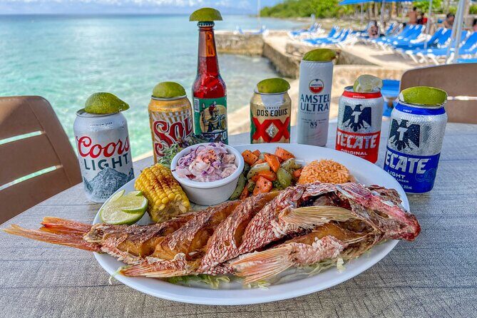 Money Bar All Inclusive Experience with Transportation - Shore snorkeling with included gear: reef rules you should follow