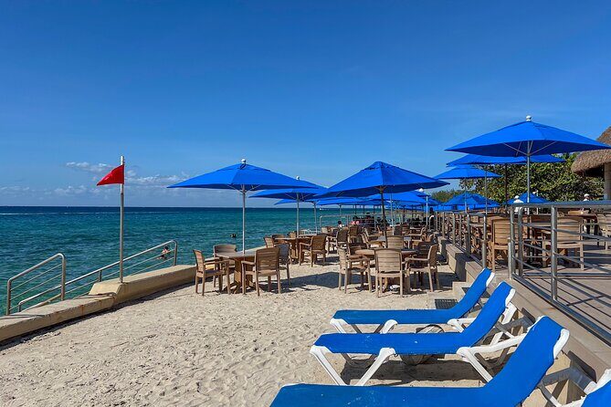 Money Bar Day Pass with Snorkel & Mexican Lunch - Entering The Money Bar scene on Cozumel’s Hotel Zone