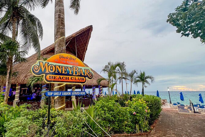 Money Bar Day Pass with Snorkel & Mexican Lunch - Who this fits best on a Cozumel day (and who should skip it)