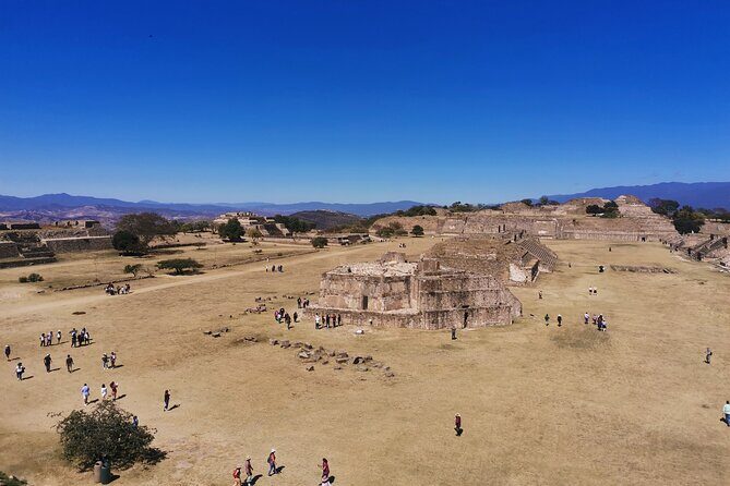 Monte Alban - Full Day Guided Tour with or without Food - Oaxaca - Alebrijes in San Martín Tilcajete: the fun, the price tags, and the reality