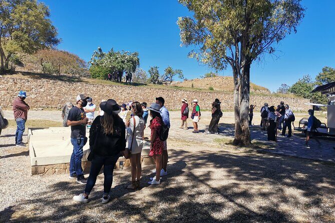 Monte Alban - Full Day Guided Tour with or without Food - Oaxaca - Oaxaca pickup points and how the day stays organized